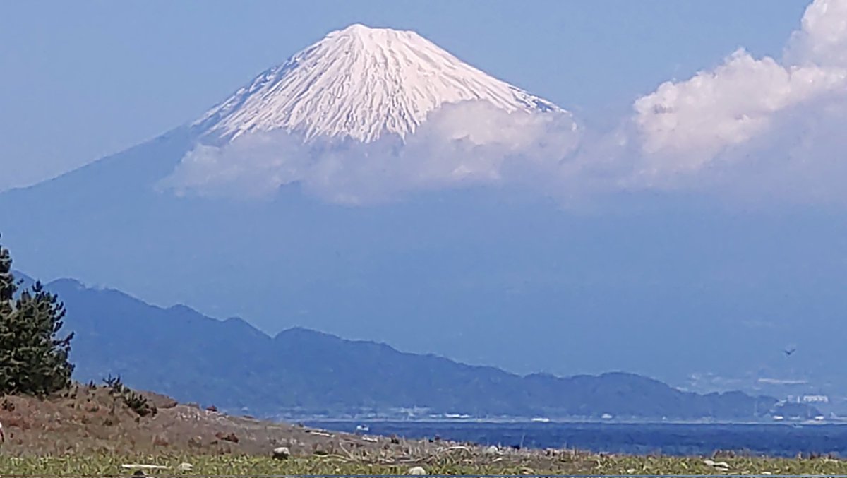 Yuko_K(Okayu) tweet media