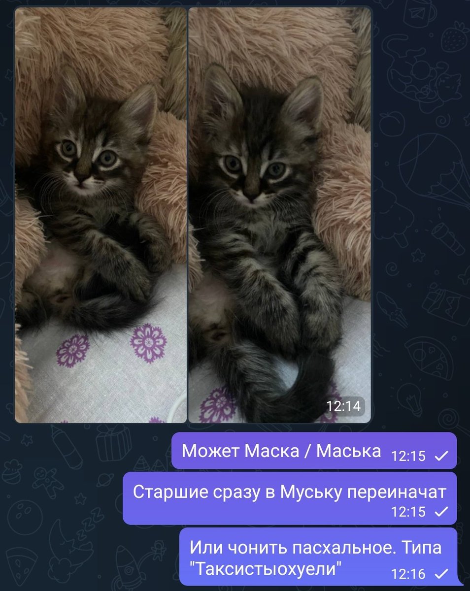 Шёл процесс наименования новоукотовлённой. Учитывая вчерашние цены на такси, с которыми за ней пришлось ехать, варианты опять не в пользу Яндекса.
(кстати, они до сих пор не могут мне за промокод на аккаунт дни начислить)