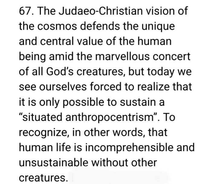 owenharry_'s tweet photo. Going to miss the ecocritic-Pope. I imagine Ratzinger never cited Haraway https://t.co/oNgOFzH1RU