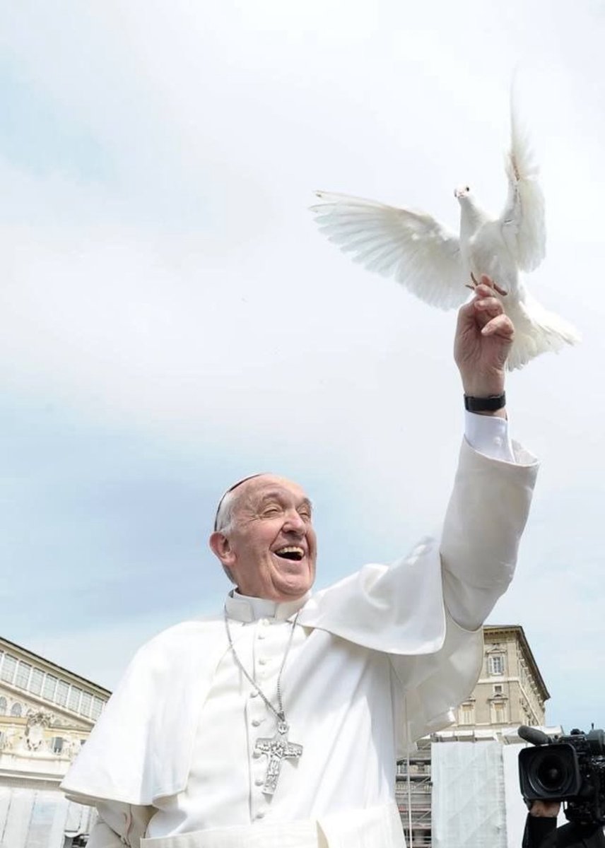 SergioOPalazzo's tweet photo. Hoy nos dejó Francisco, un Papa que honró con su conducta transparente a la iglesia y sus postulados.
Un ser excepcional que siempre abogó por la paz y el amor por los humildes. https://t.co/HMyQy6MOqI