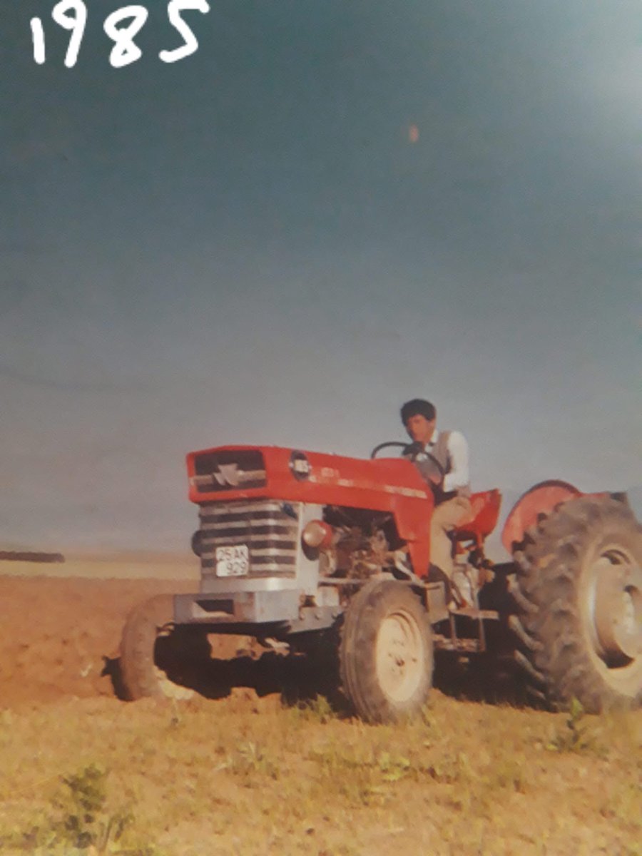 Akıma bende katılayım dedim. Yapay değil gerçek….