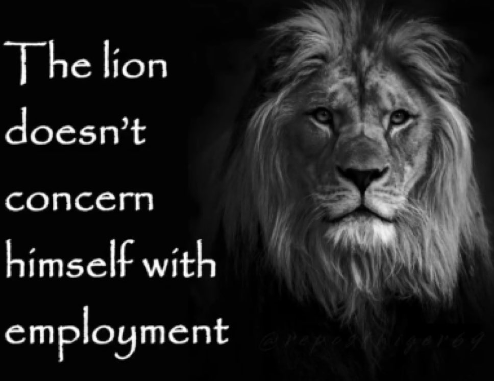 Leo (@bounder2k) on Twitter photo 