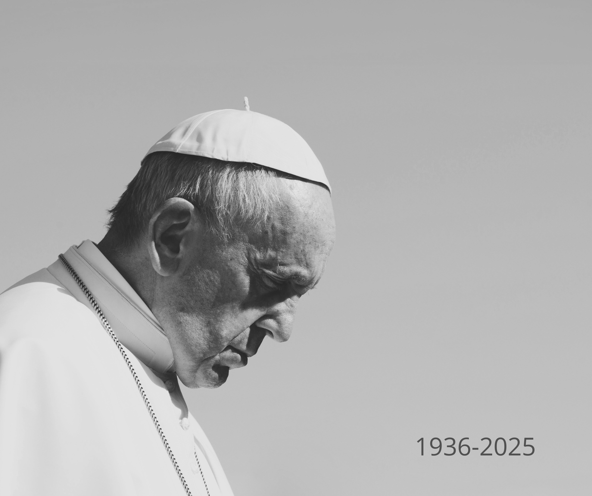 Compañía de Santa Teresa de Jesús tweet media
