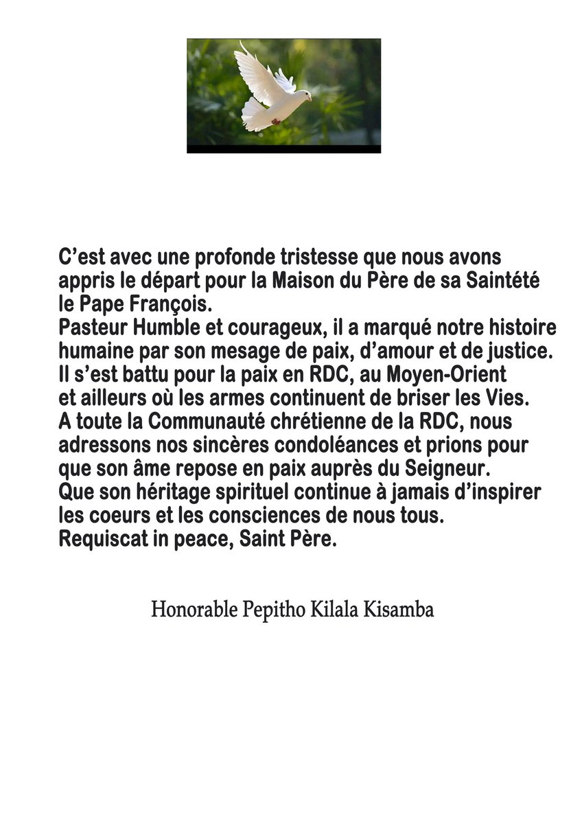 Un Homme engagé pour la paix en RDC et dans le reste du monde vient d'être appelé par le Père.
A Dieu Saint Père 🕊️

#Vatican #PapeFrancois
