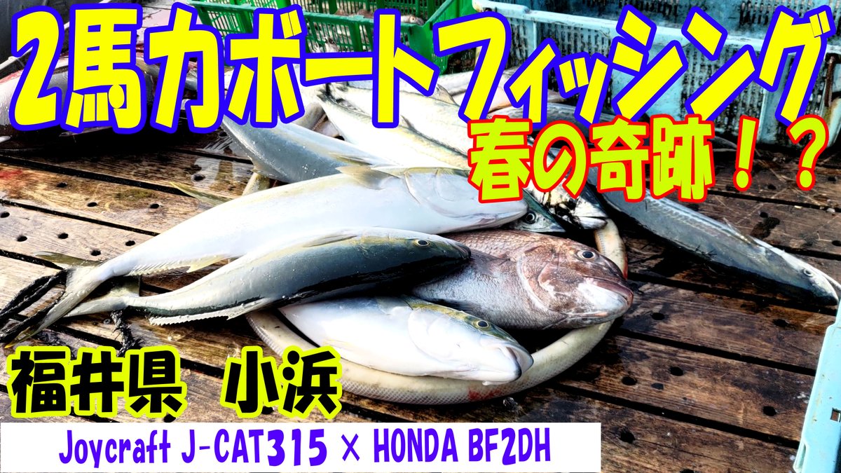 MaskatFishing's tweet photo. いや～、温かくなったので、２馬力ボートの釣りに行ってきたんですけどね。海からの贈り物頂いちゃいました。まじ、奇跡。
https://t.co/YhBh1btGQn https://t.co/sgkb4pmLgA