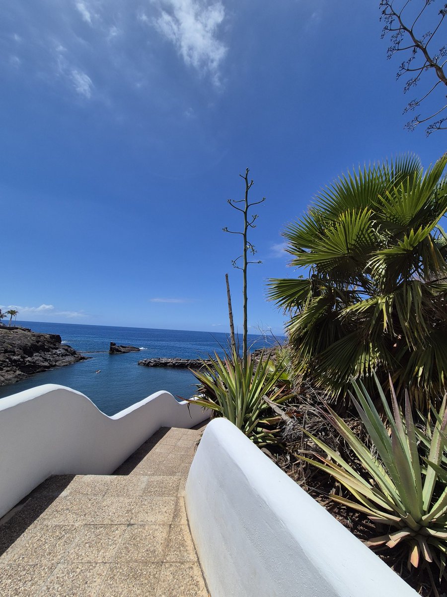 🇹🇹🇳🇫🇹🇹 🇼🇪🇧3 🔝 🇬 tweet media