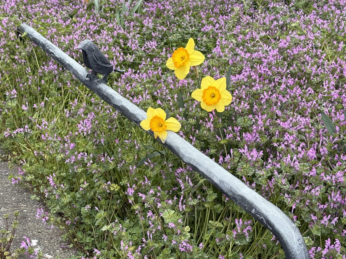 We didn’t do anything Easter like this year, i nearly forgot about it, since it’s not celebrated in 🇯🇵 &amp; we’re busy with setting up the house after moving back in.
We just had a simple brunch &amp; took a walk around the neighbourhood.

Hope everyone had nice Easter holidays!🐣🐇