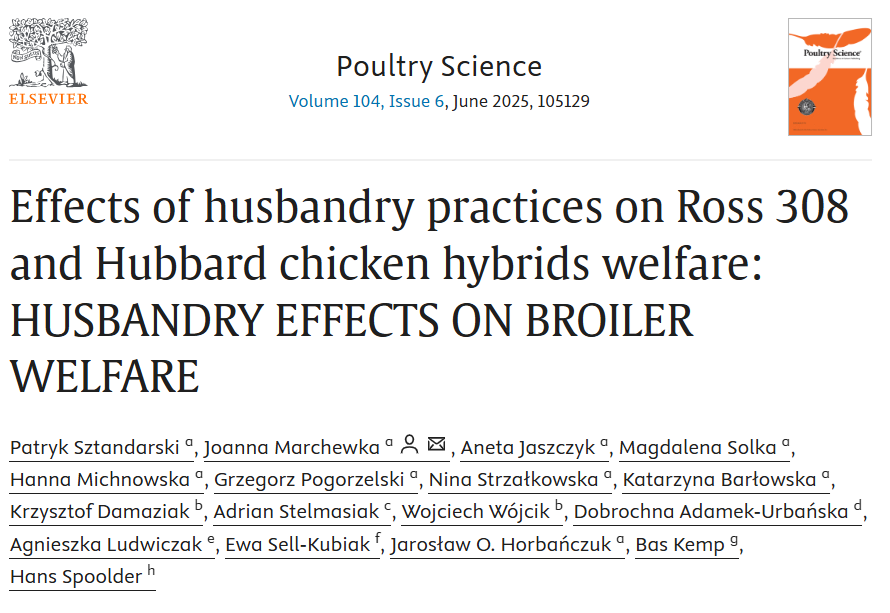 🐓 Better broiler welfare through smarter farming!
New <a href="/mEATqualityEU/">mEATquality</a>  study shows how lucerne, outdoor access &amp; breed choice improve poultry health.
🔗 sciencedirect.com/science/articl…