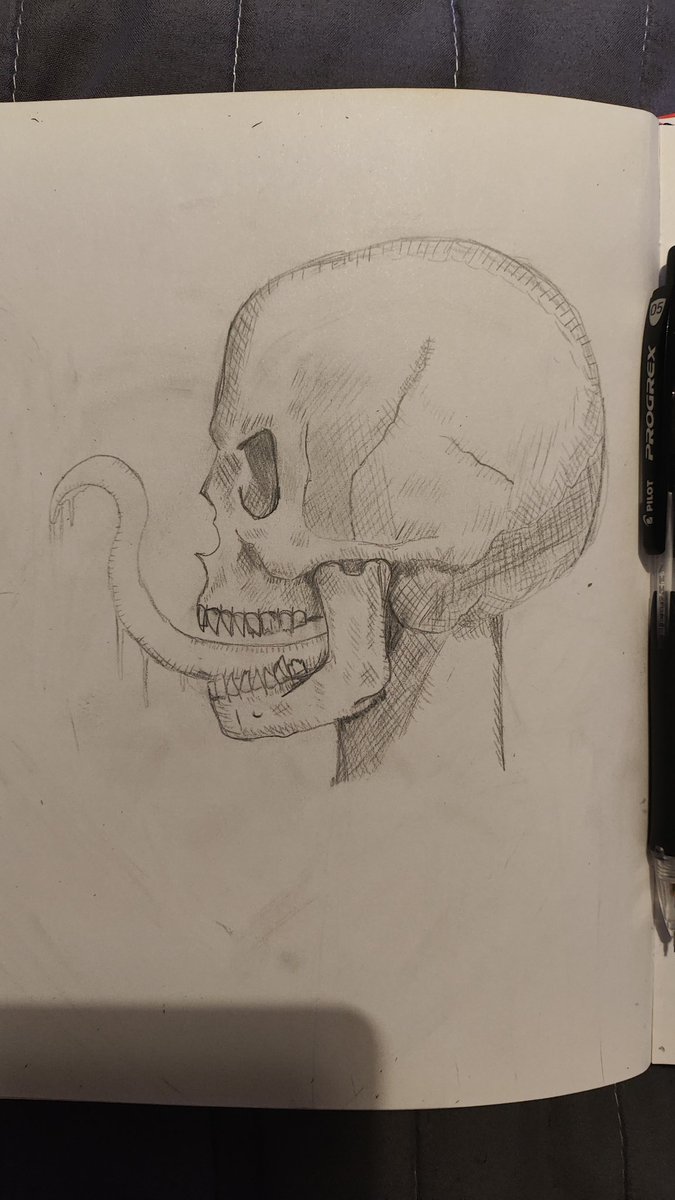 TuC_Sojer's tweet photo. #skull #sketchart #sketchbook #art #drawing #drawingart #drawings #sketches #sketch https://t.co/b1pDhRUMuY