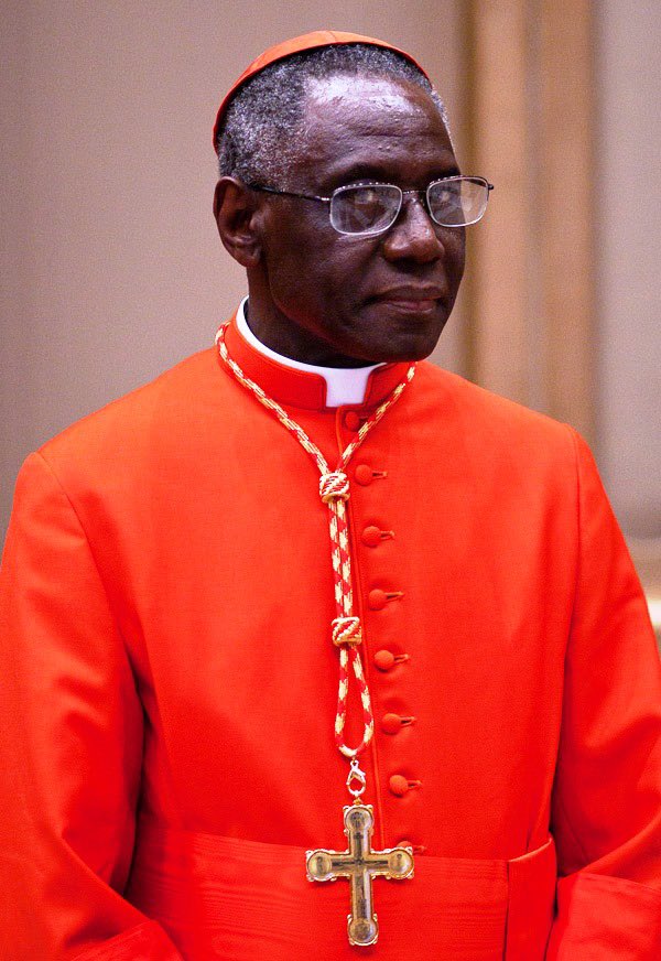 JoeyMannarino's tweet image. Cardinal Sarah would be an incredible Pope. 

He’s 80 so I’m not sure if that’s a viable option, but he’s about as conservative as they get.