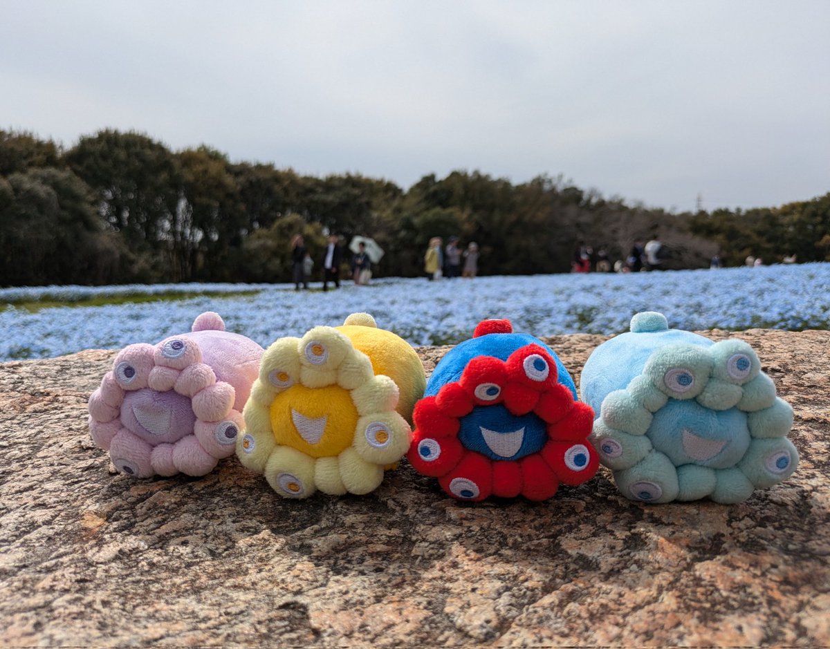 ロールお手玉マスコット・もっちりぬいぐるみ計4点セット 新品】ミャクミャク ロールお手玉 マスコット 4種セット ぬいぐるみ