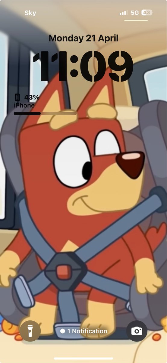 JackMcCourt01's tweet photo. #newwallpaper Rusty looks cute https://t.co/mrmztfNgU1