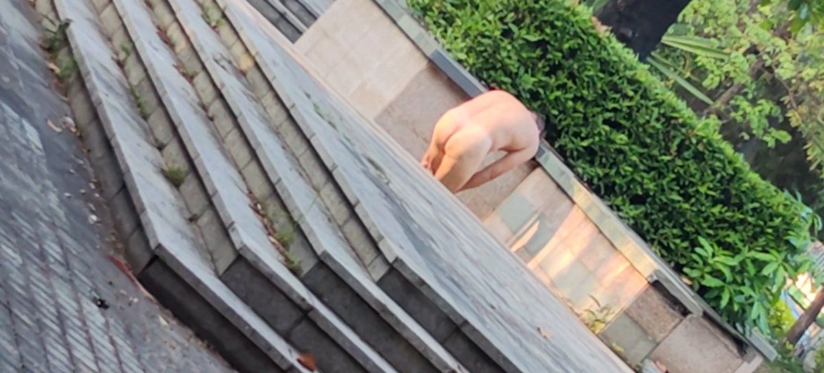 刚好路过看到🤣🤣