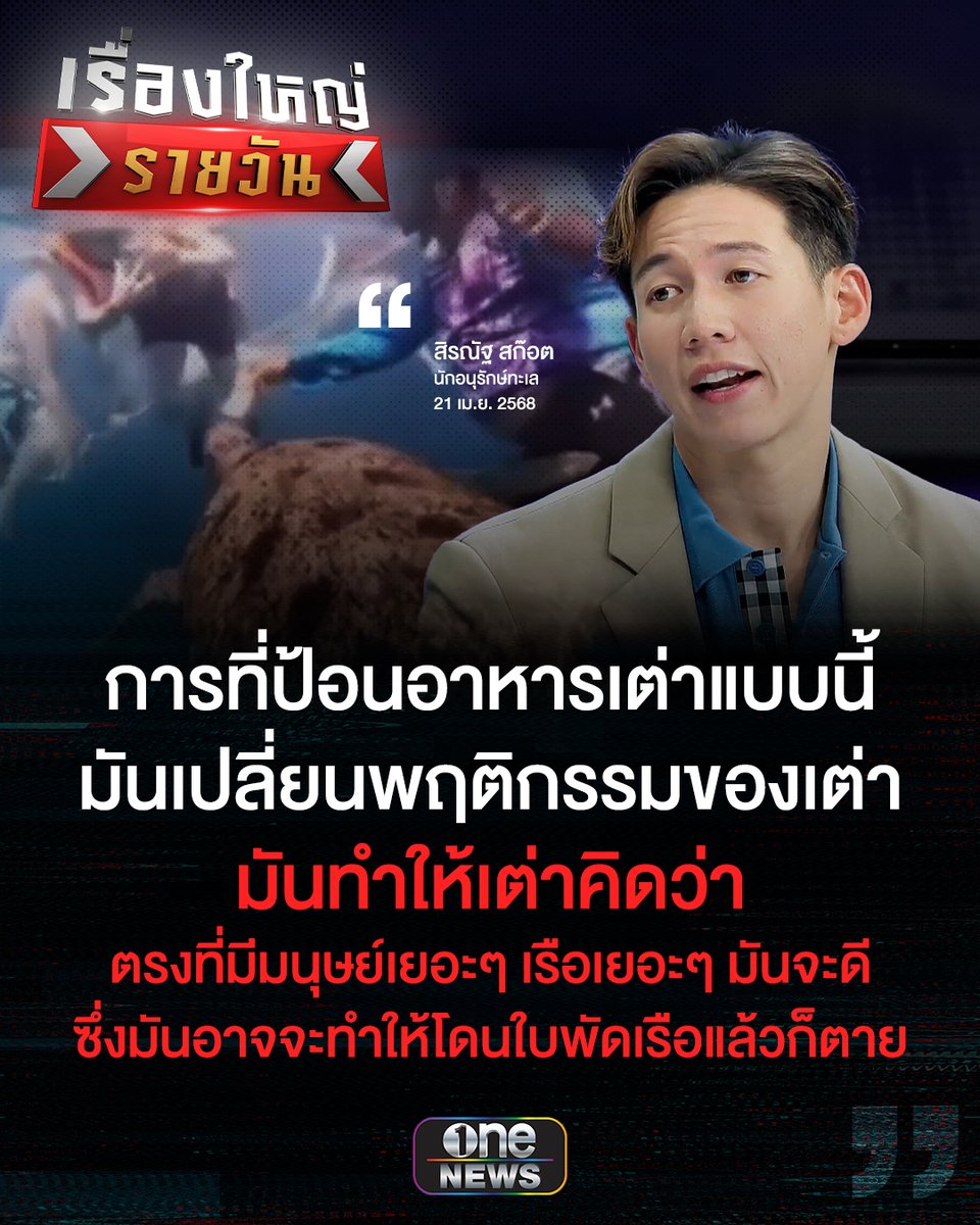 ข่าวช่องวัน tweet media