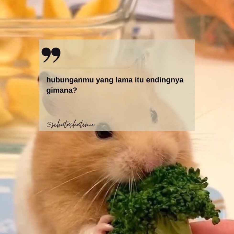 hubunganmu yg lama itu endingnya gimana