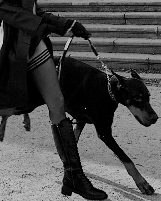 ทศวรรษ tweet media