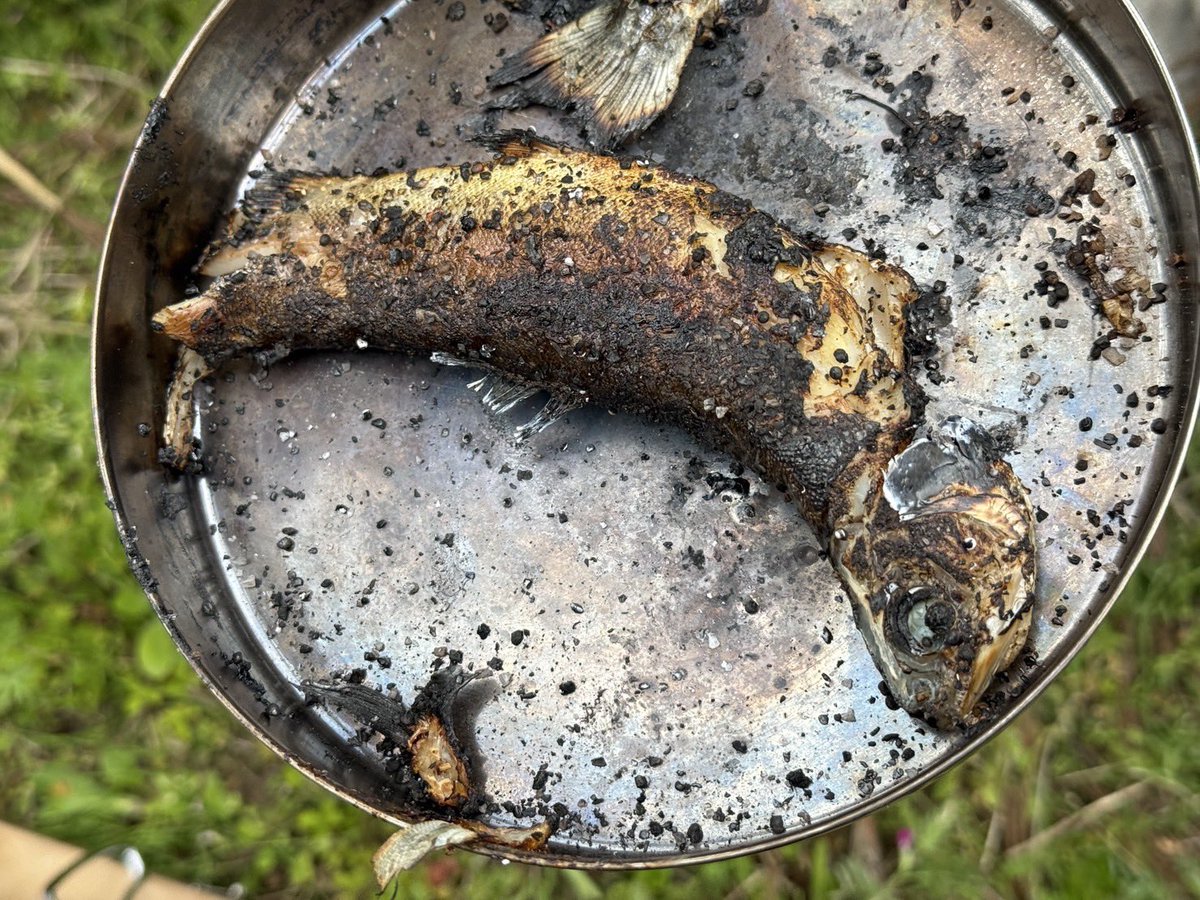 昨日、さらちゃんと作った魚料理🤭