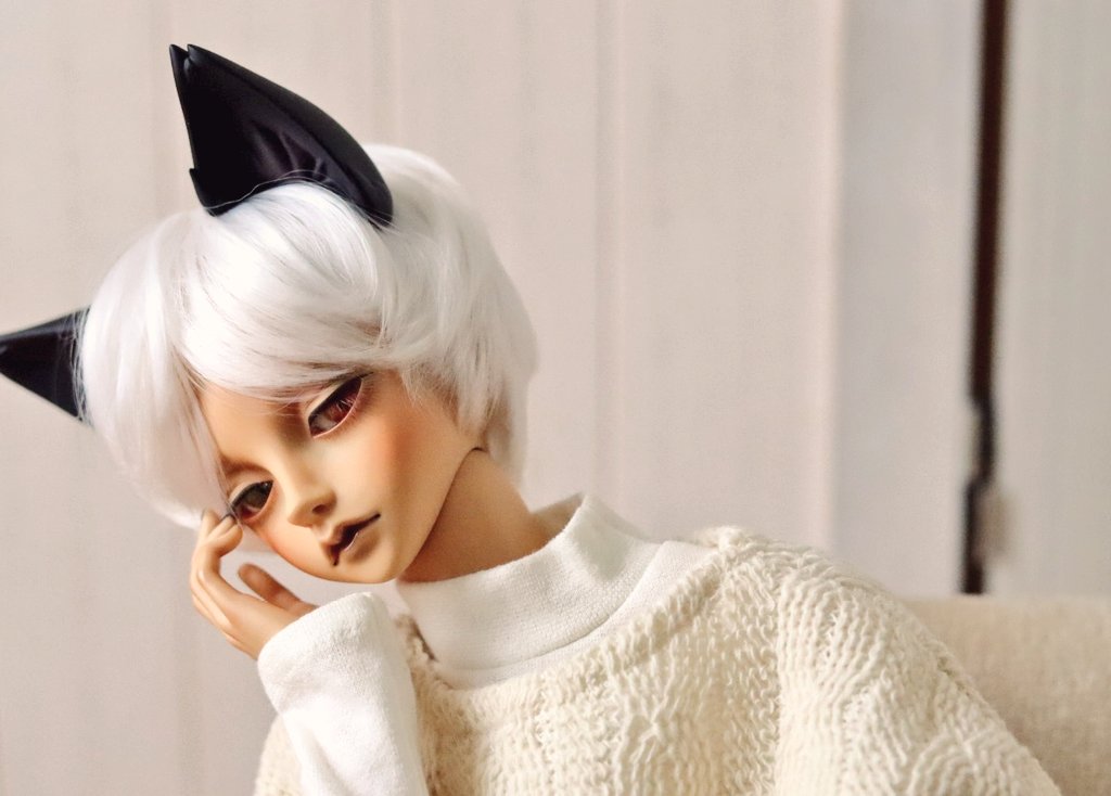 Fillyjonk___'s tweet photo. ネコチャンは猫だから、ペットだから下着ははい��ないよ🩲❗
褐色���コチャン可愛いよね✨
あげないよww https://t.co/PBzd5FlUHe