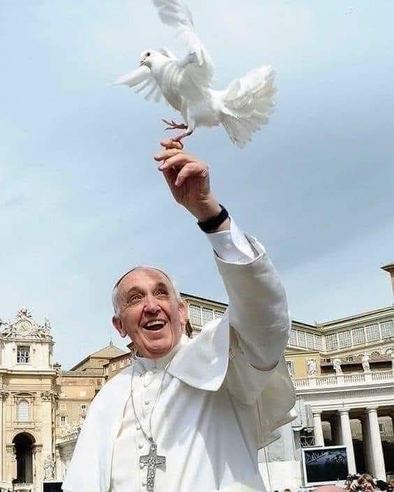 🌞🌞Roberto 🌞🌞 tweet media