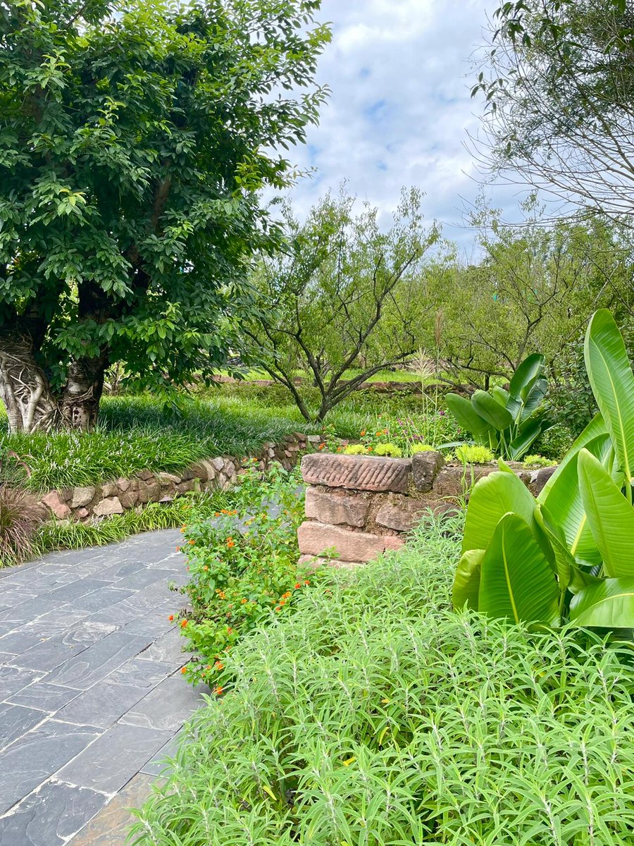 DCecHunts's tweet image. 大人になるにつれて、自然の息吹が好きになりました。 😊
その中にいると、よりリラックスして純粋な気持ちになります。 🤗