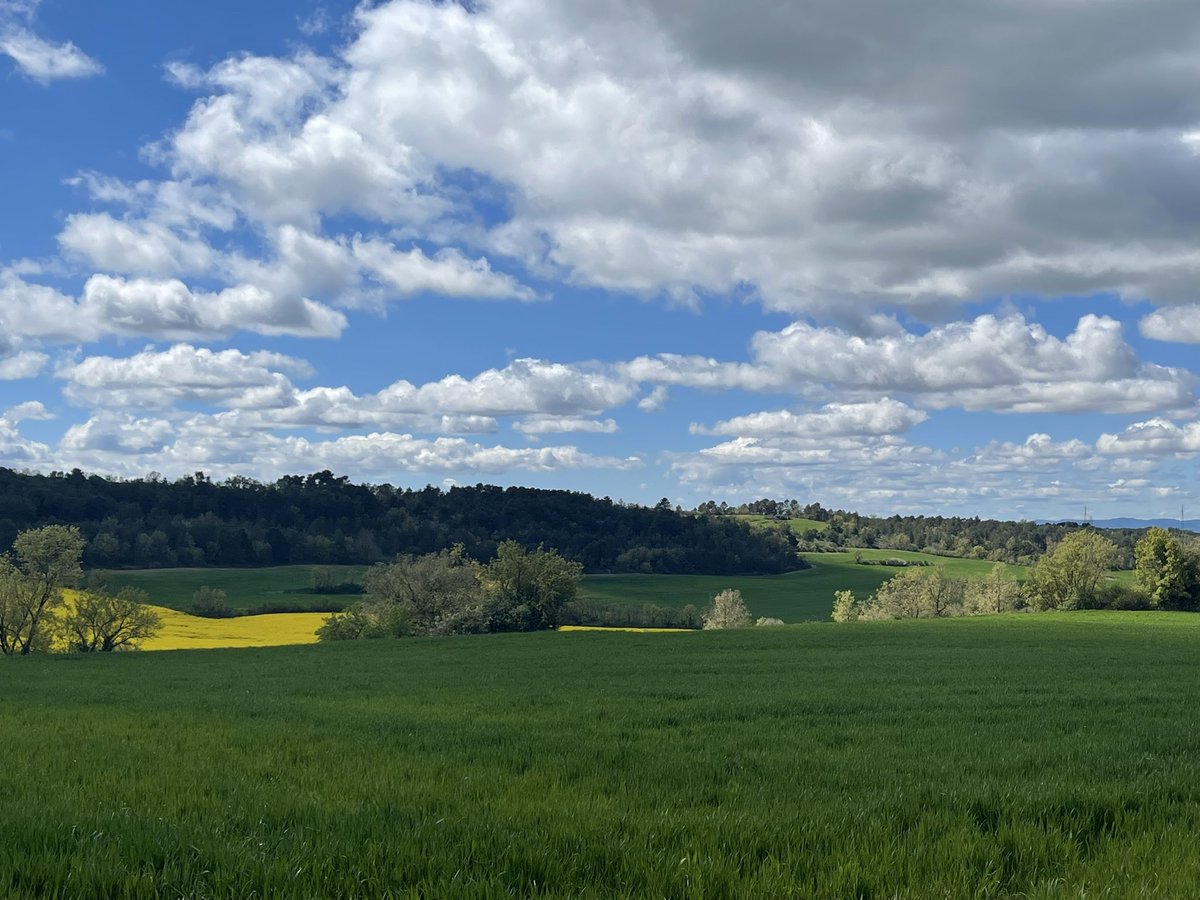 jmuletgvic's tweet photo. Que no em parlin meravelles de la Toscana quan tenim aquí la Baixa Segarra!
@SomSegarra
@Turisme_Segarra https://t.co/P85h8IMJU2
