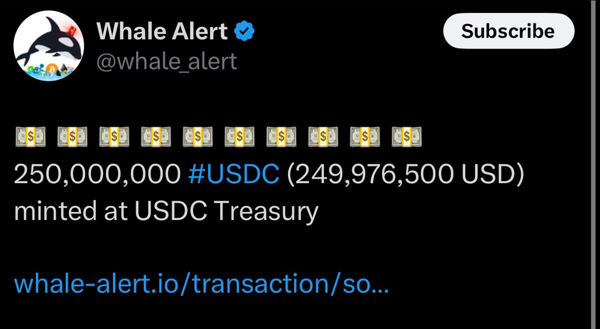 Crypto Rover tweet media