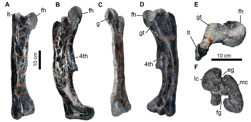 El Cuaderno de Godzillin (GBE-UNED) tweet media