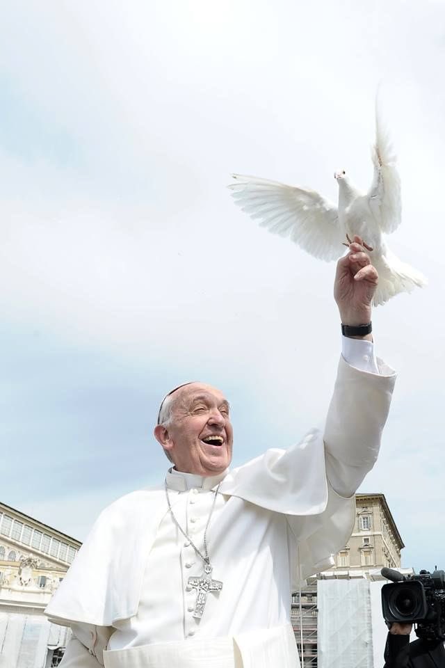 TotyFlores's tweet photo. Murió el Papa Francisco. Un hombre que hizo de la humildad, la integración y la justicia social su misión. Cercano a quienes sufren, valiente frente al poder. Que su legado nos inspire a construir una sociedad más solidaria, compasiva y humana.
QEPD el Papa argentino🕊️ https://t.co/TklVYGhq2R
