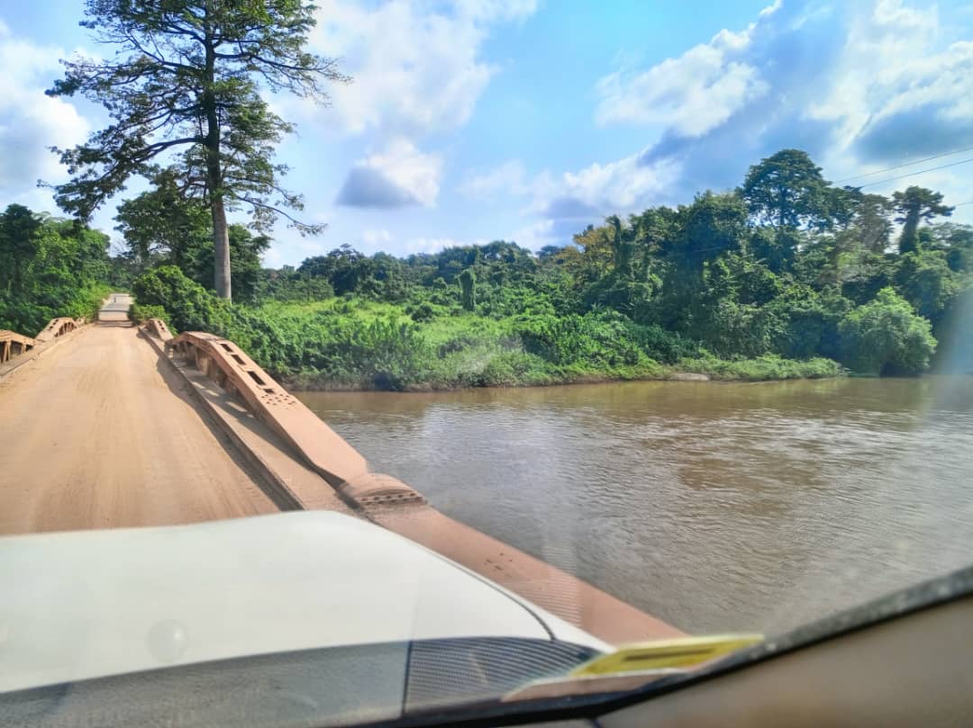 ISM Cameroon tweet media