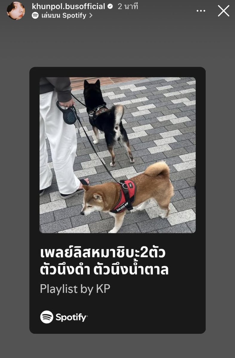 บีอุ้ส ﾟ⟡🌙 tweet media