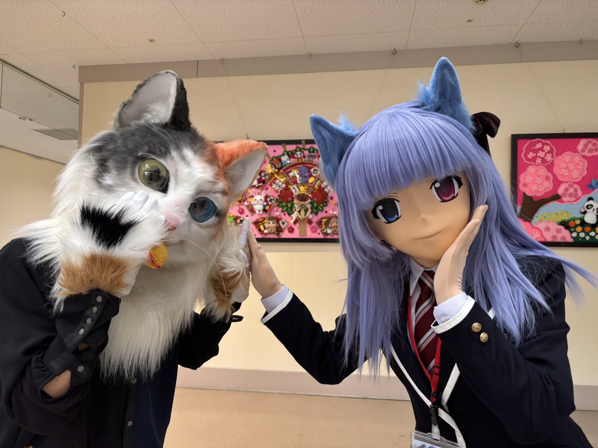 オッドアイにゃんず可愛かったにゃ‼️