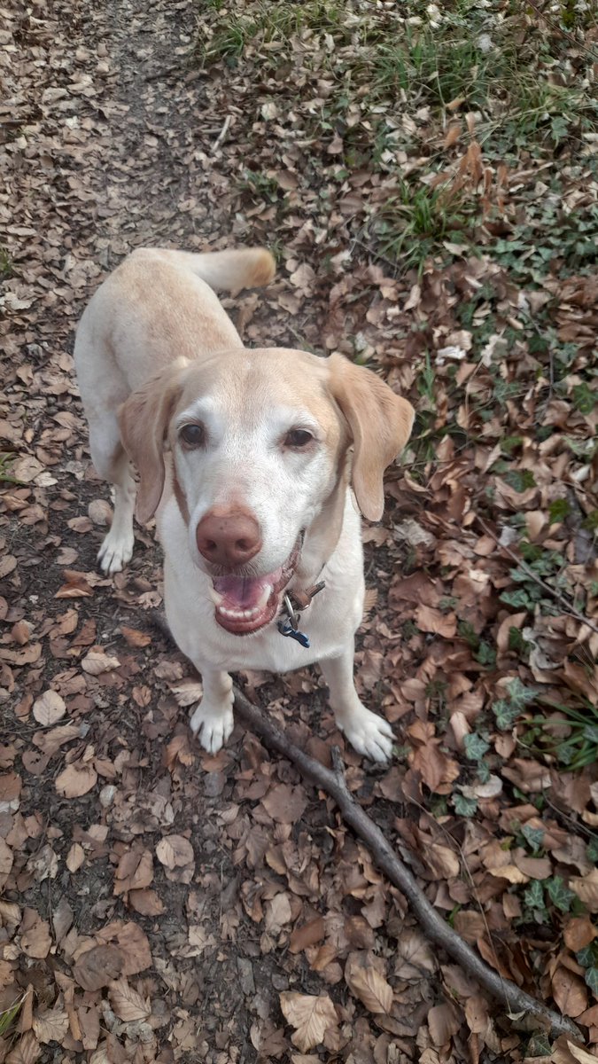 Hallo leeve jong 
Wünsche dir auch einen schönen Oster Montag!!!🤗🌞🍀😎