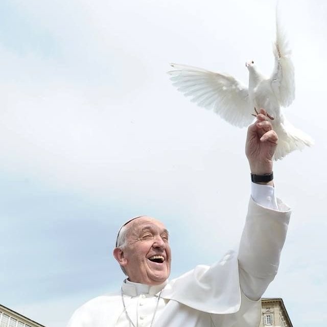 Mario Fco82 tweet media