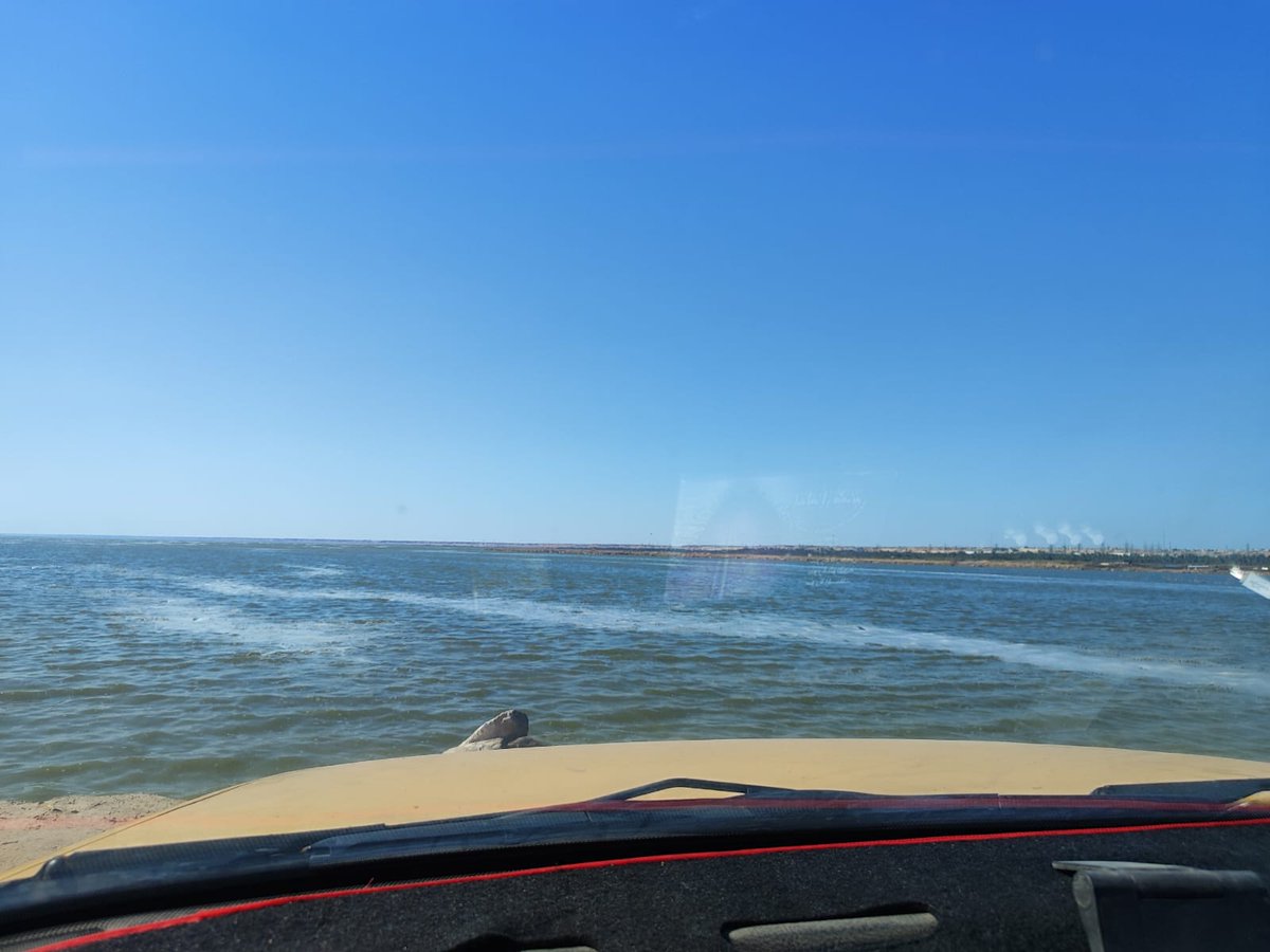 اسمر اربعيني عندي تجارب حنون رومانسي طلبي سوالب ومتحررين