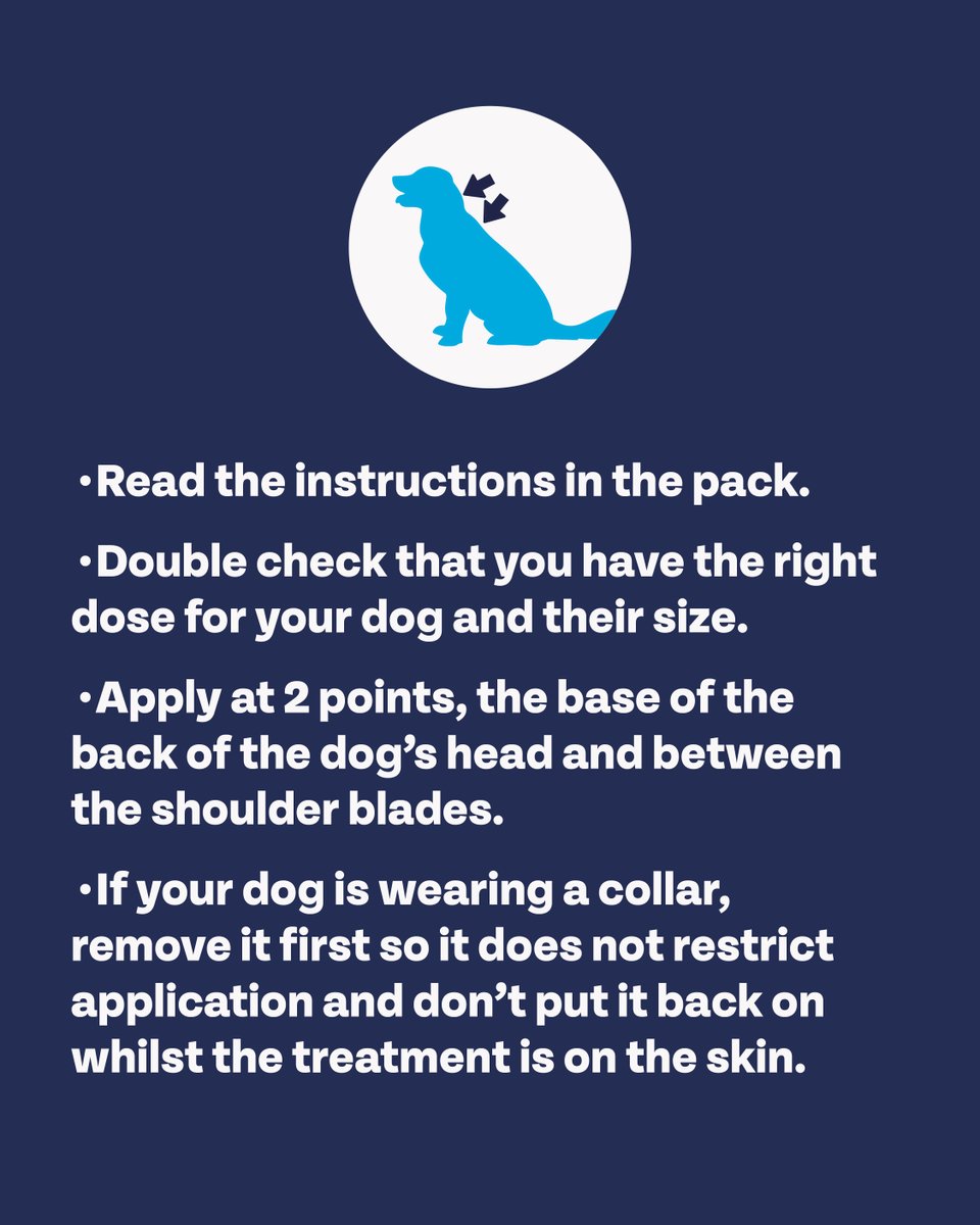 Bob Martin Pets tweet media