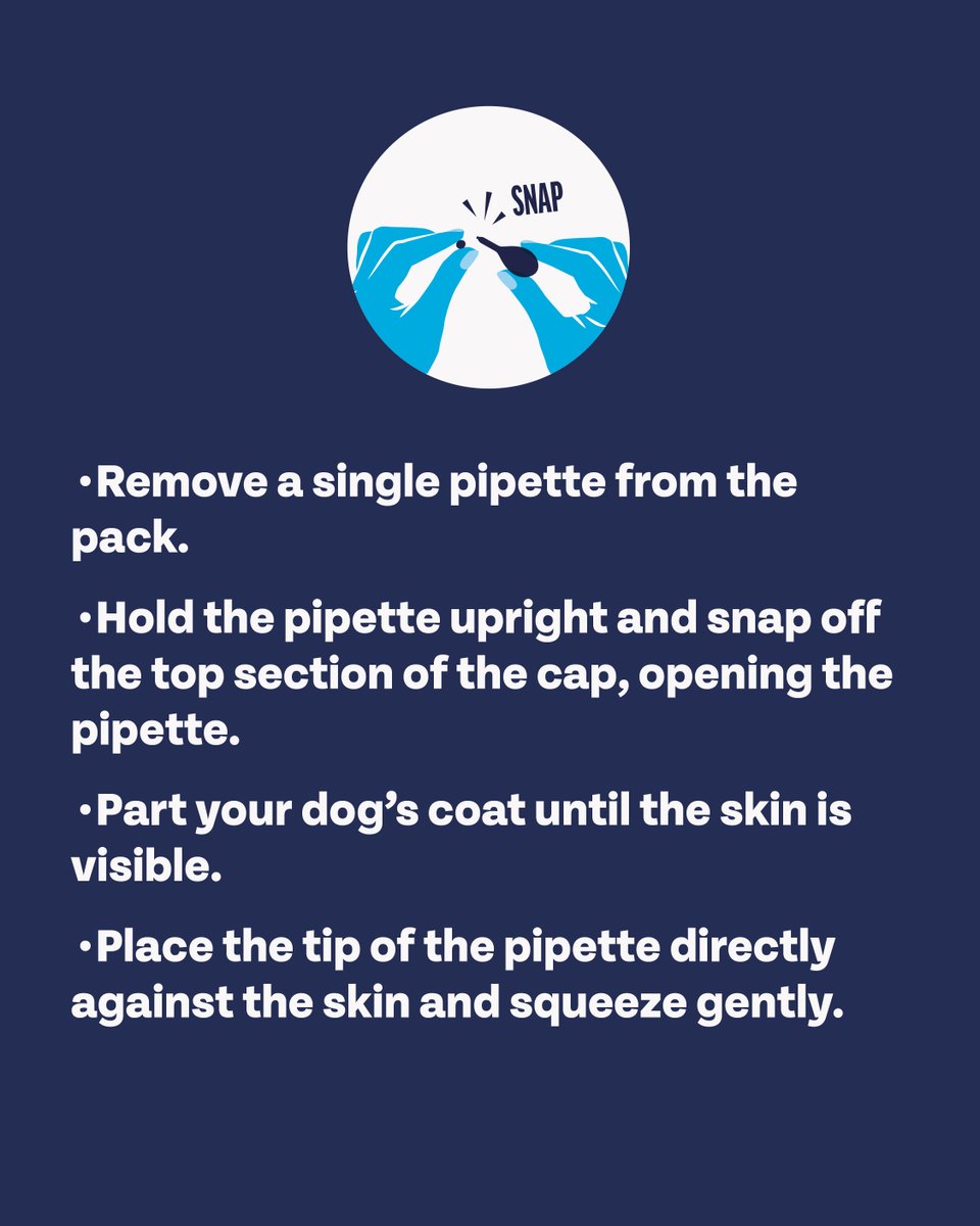 Bob Martin Pets tweet media