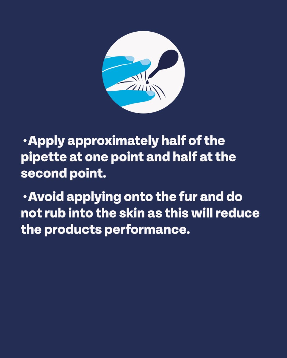 Protect your pets with our Flea &amp; Tick Spot-On Treatment! Here’s how to use it safely and effectively. Remember to always read the instructions before applying.