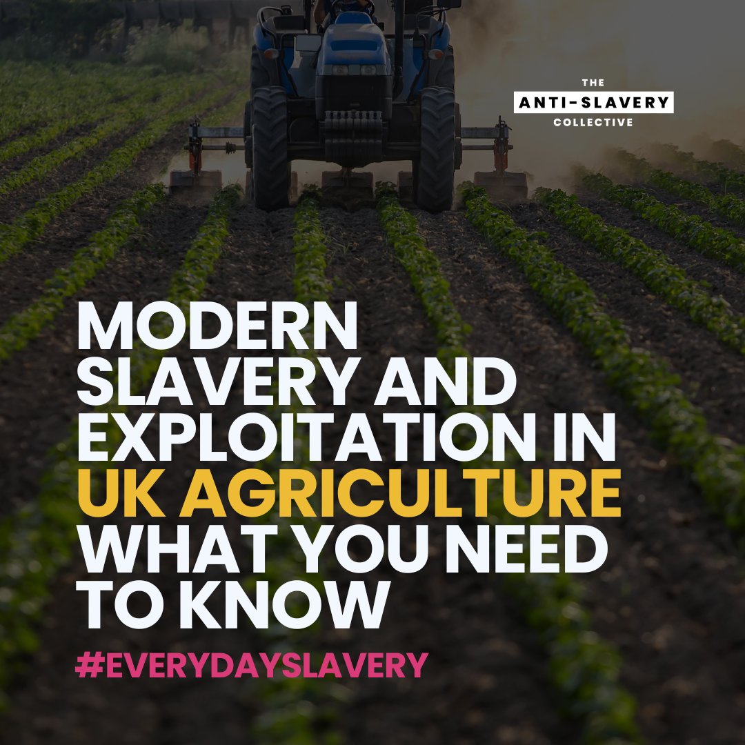 The Anti-Slavery Collective (@tasc_org) on Twitter photo Modern slavery in UK agriculture, what’s happening?
50% of farms had workers without contracts in their language.
15% reported unsafe housing,
10% lacked basic facilities & 22% faced ill-treatment.
<a href="/rightsbeacon/">Rights Lab</a>
🔗tinyurl.com/3hszxdbm
#TheAntiSlaveryCollective Modern slavery in UK agriculture, what’s happening?
50% of farms had workers without contracts in their language.
15% reported unsafe housing,
10% lacked basic facilities & 22% faced ill-treatment.
<a href="/rightsbeacon/">Rights Lab</a>
🔗tinyurl.com/3hszxdbm
#TheAntiSlaveryCollective
