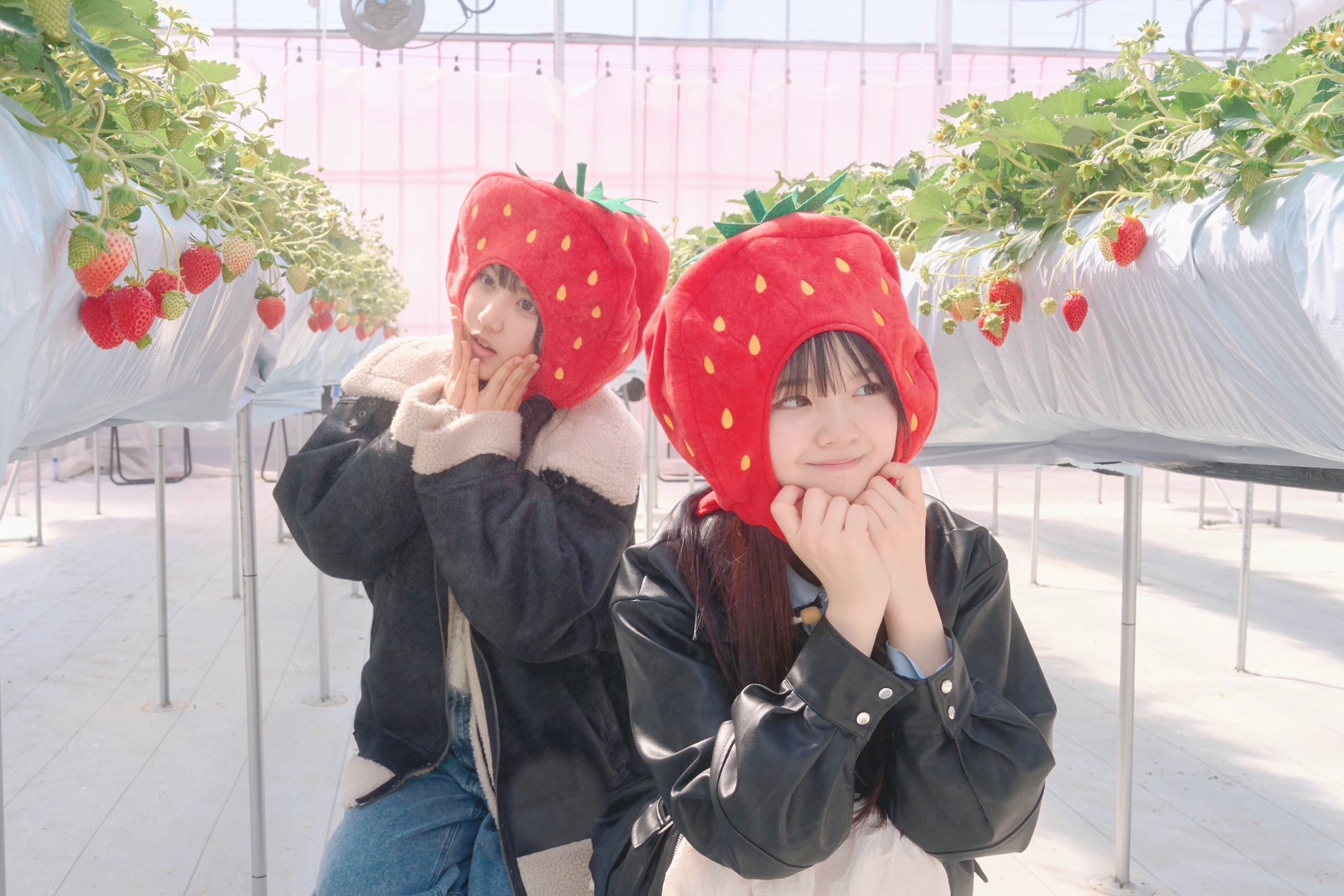 AKB48　近藤沙樹　2ショット写真会場限定 お守りおまもりビンゴ運上昇ver. さんすきATM on X: 