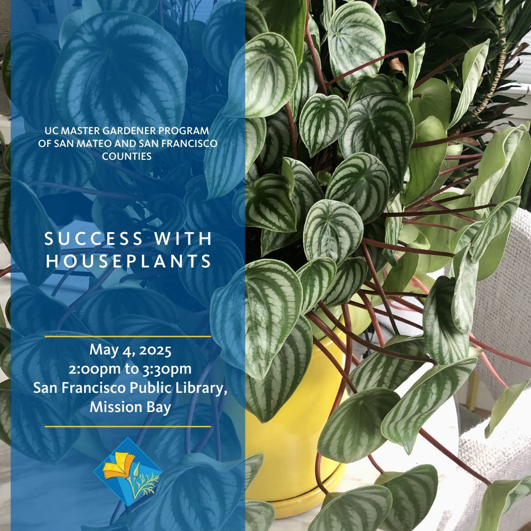SMSF MasterGardeners tweet media