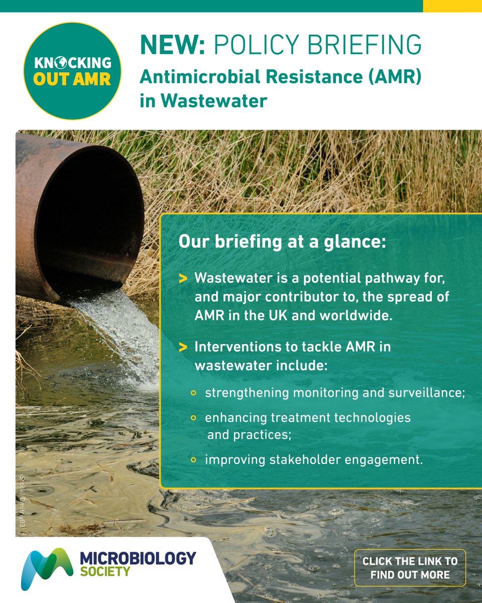 Last month for #WorldWaterDay, 🌍💧 the Microbiology Society published a policy briefing on AMR in wastewater- highlighting key interventions to tackle this global threat. Find out more here: microb.io/WasteWaterPoli… 
#AMR #KnockingOutAMR