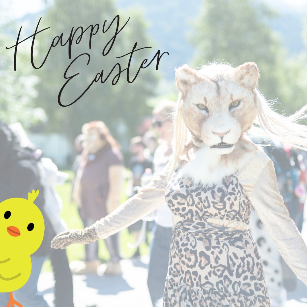 🐐Lakesidefurs 🇦🇹 tweet media