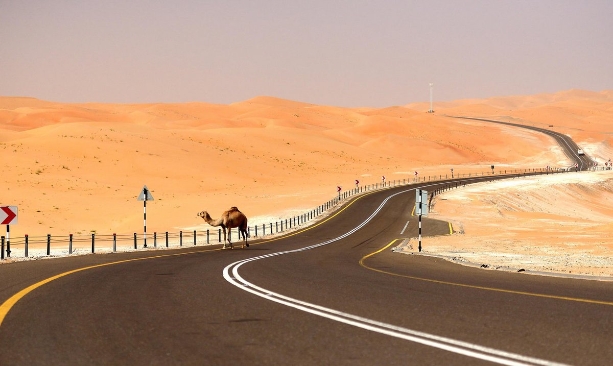 RentCarUAE's tweet photo. Comparing the Best Car Rental Services in Dubai (2025)

https://t.co/5M8ZOQ9Jd2 https://t.co/fIxNqRA2Sb