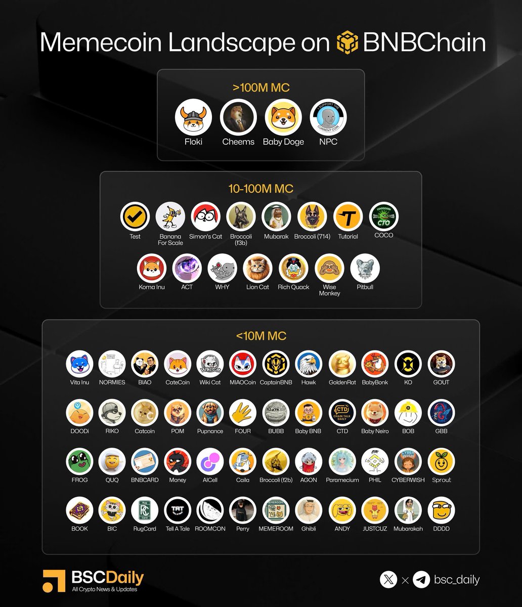 BSCDaily (@bsc_daily) on Twitter photo 🎗️Memecoin Landscape on <a href="/BNBCHAIN/">BNB Chain</a>
🔸> $100M Market Cap
<a href="/RealFlokiInu/">FLOKI</a>, <a href="/LordCheems_bsc/">Cheems</a>, <a href="/BabyDogeCoin/">Baby Doge</a>, <a href="/NonPlayableCoin/">NPC</a>.
🔸$10M - $100M Market Cap
<a href="/TestonBSC/">Test Token</a>, <a href="/BananaS31_bsc/">$Banana for Scale</a>, <a href="/SimonsCatMeme/">Simon's Cat Token</a>, <a href="/FirstBroccoli/">Broccoli - CTO</a> (f3b), <a href="/mubarak_cto/">Mubarak 🌜</a>, <a href="/Broccoli_NGO/">Broccoli - CZ’s Dog🥦</a> (714), <a href="/tutorialtoken/">Tutorial</a>, 🎗️Memecoin Landscape on <a href="/BNBCHAIN/">BNB Chain</a>
🔸> $100M Market Cap
<a href="/RealFlokiInu/">FLOKI</a>, <a href="/LordCheems_bsc/">Cheems</a>, <a href="/BabyDogeCoin/">Baby Doge</a>, <a href="/NonPlayableCoin/">NPC</a>.
🔸$10M - $100M Market Cap
<a href="/TestonBSC/">Test Token</a>, <a href="/BananaS31_bsc/">$Banana for Scale</a>, <a href="/SimonsCatMeme/">Simon's Cat Token</a>, <a href="/FirstBroccoli/">Broccoli - CTO</a> (f3b), <a href="/mubarak_cto/">Mubarak 🌜</a>, <a href="/Broccoli_NGO/">Broccoli - CZ’s Dog🥦</a> (714), <a href="/tutorialtoken/">Tutorial</a>,