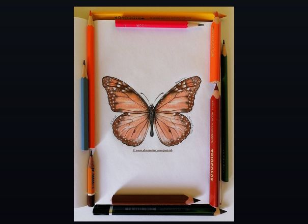 Butterfly (for DATutorial)

- size: A5, pencils: 1-3 and 7B, thick pencil: 6B, colourpencils: TRIOCOLOR 24 and orange pencil: 24 School coloured pencils

© 2025 PatrisB (Patrícia Bombarová)

#drawing

Link: deviantart.com/patrisb/art/Bu…