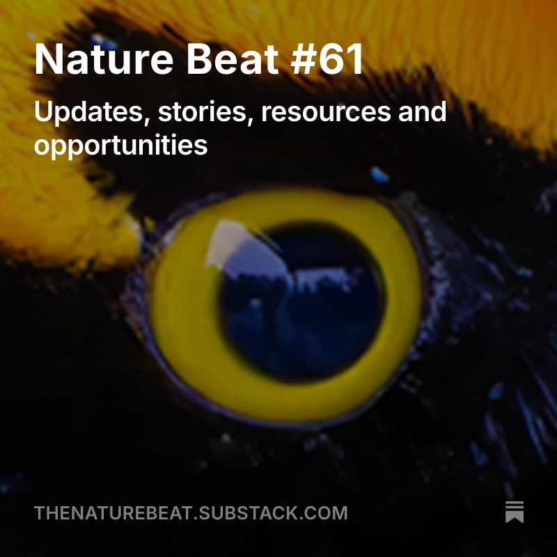Just published: The new edition of my newsletter for journalists (and anyone else) interested in biodiversity, the ecological crisis and nature-based solutions to climate change. It has news, resources, jobs, great stories, and more. See reply for link.