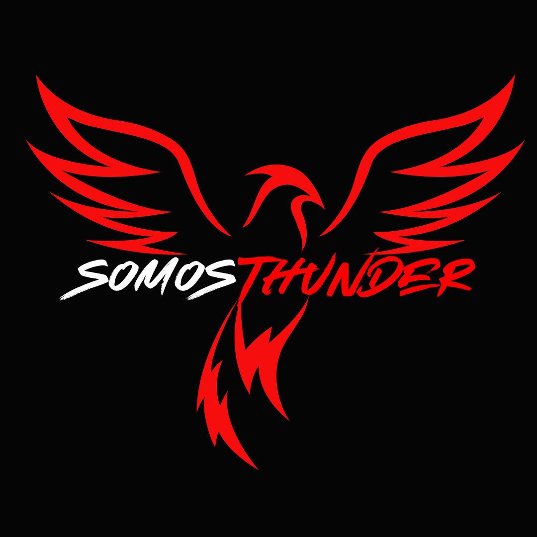 Thunder Gaming tweet media