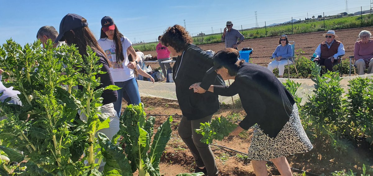 🌿 La Finca Tomás Ferro de #UPCT ha acogido hoy una nueva cita de terapia intergeneracional organizada por <a href="/AFALEVANTE/">AFA Levante</a> en la que han participado más de 50 personas con alzhéimer y otras demencias neurodegenerativas acompañados por sus hijos, nietos y voluntarios de la asociación.