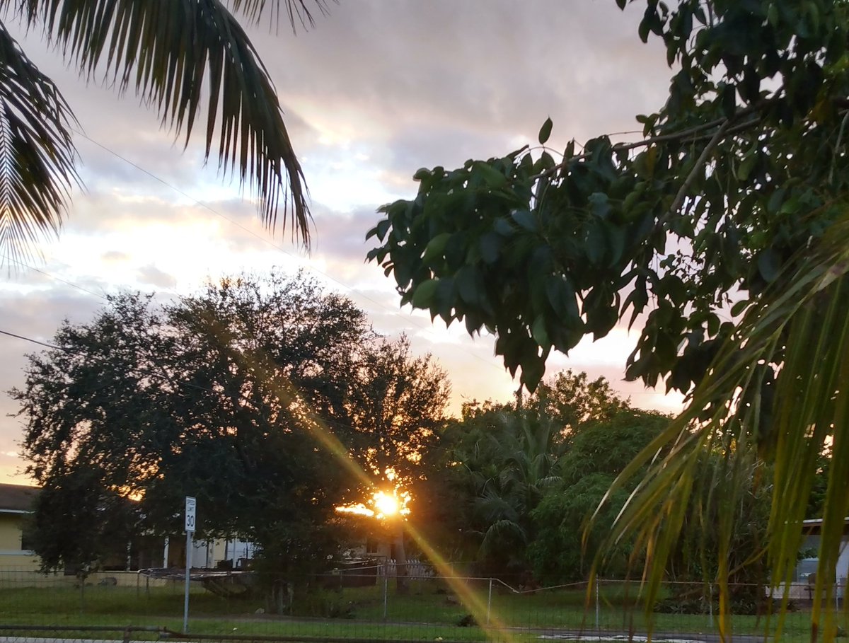 JorgeGNYCMIA's tweet photo. #Miami #Sky #Sunset #Palmtrees #photo #photodaily #phototoday #photoofthedaye #photogram #photograph #photographer #photography #photooftheweek #photos #photosession #photoshot #photostudio #skyphotography #sunrays #sunflares #lensflare #SunsetEvening https://t.co/frBz7yO2a1