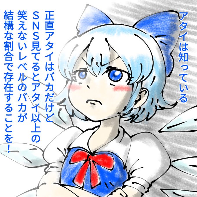 チルノちゃんは天才だから頭が良い。 